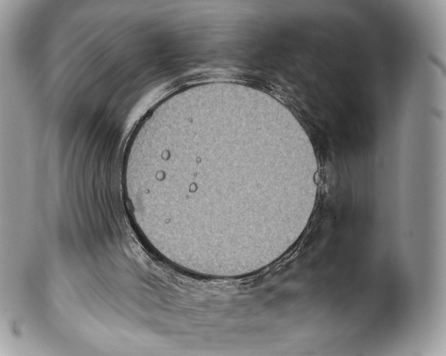 X0000101150004200807251058