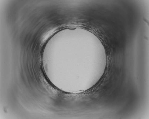 X0000101150005200807251058