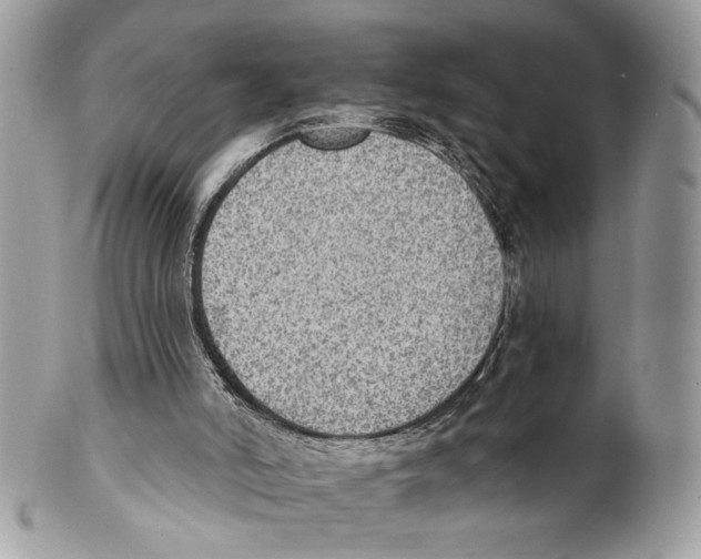X0000101150006200807251058