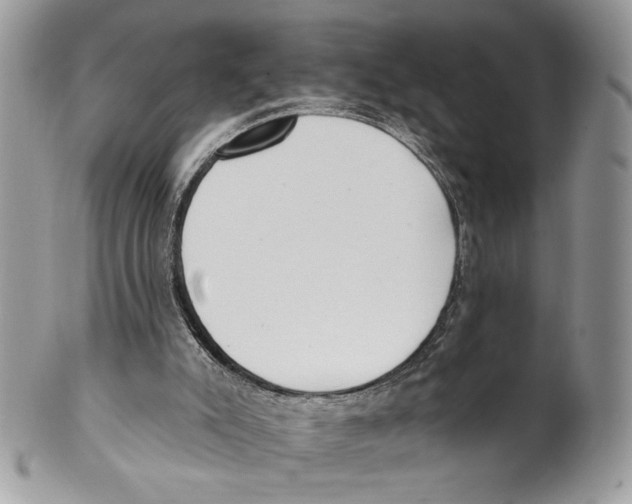 X0000101150007200807251058