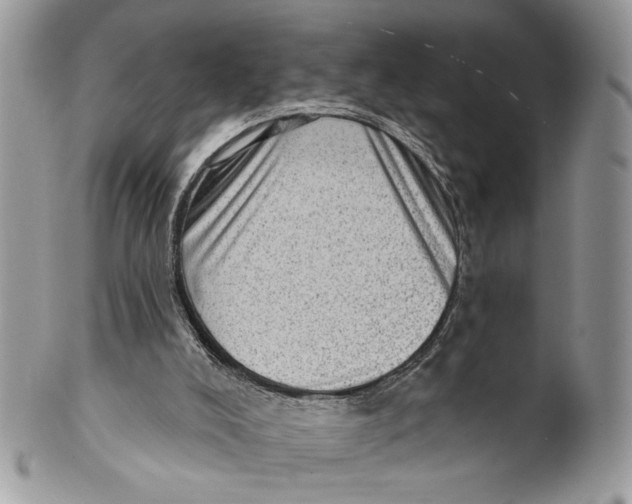 X0000101150008200807251058