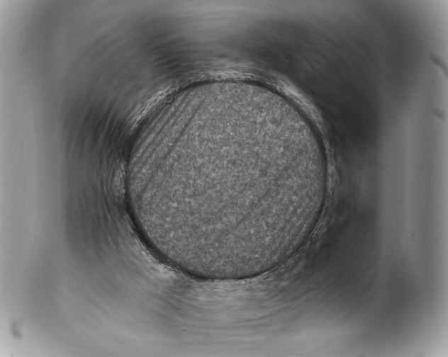 X0000101150009200807251058