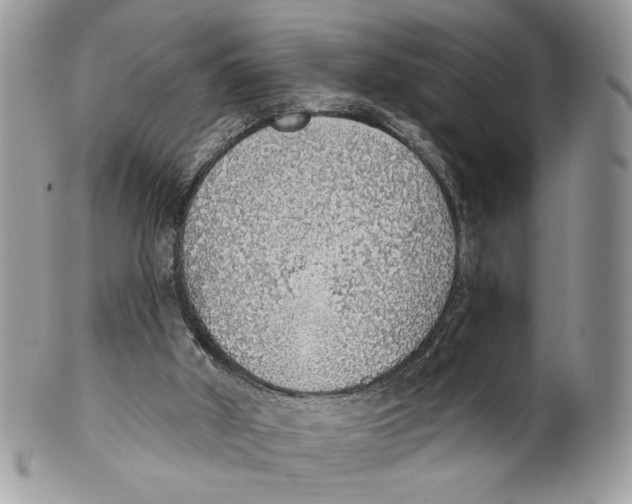 X0000101150010200807251058