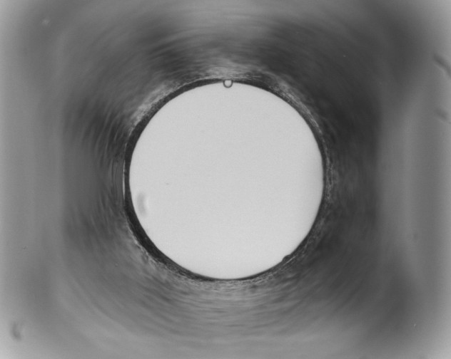 X0000101150011200807251058