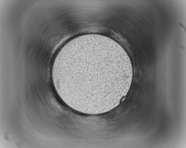X0000101150012200807251058