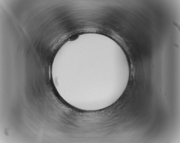 X0000101150013200807251058