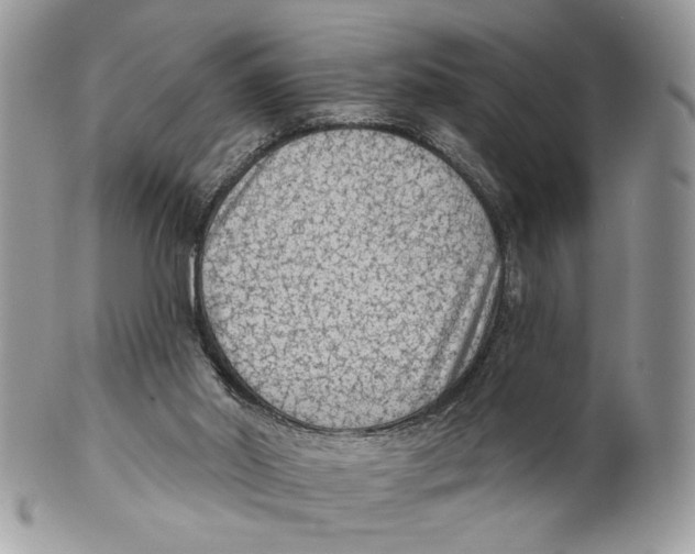 X0000101150014200807251058