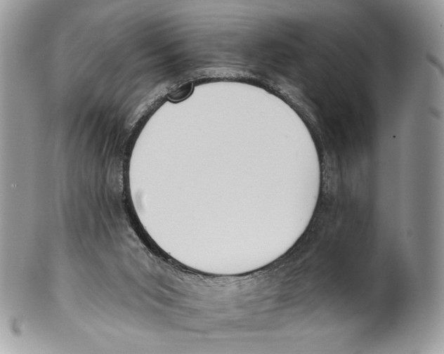 X0000101150015200807251058
