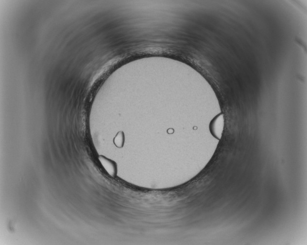 X0000101150016200807251058