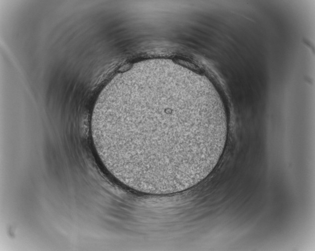 X0000101150017200807251058