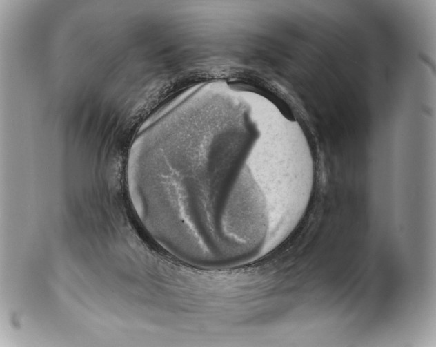 X0000101150018200807251058