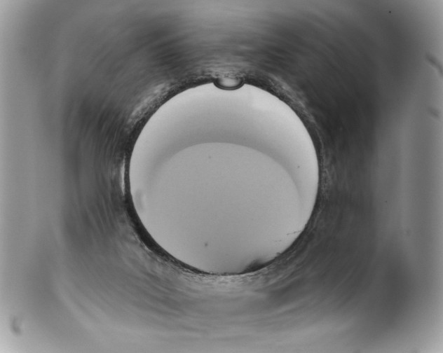 X0000101150019200807251058