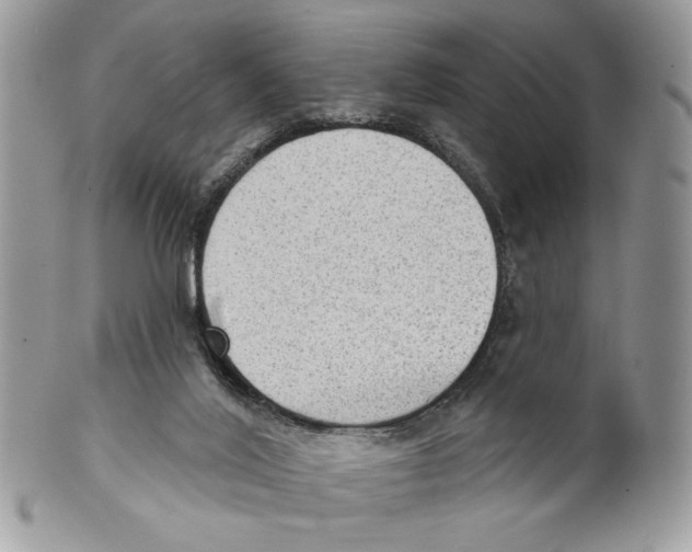 X0000101150020200807251058