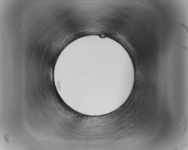 X0000101150021200807251058