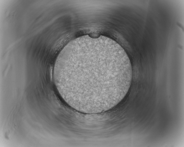 X0000101150022200807251058