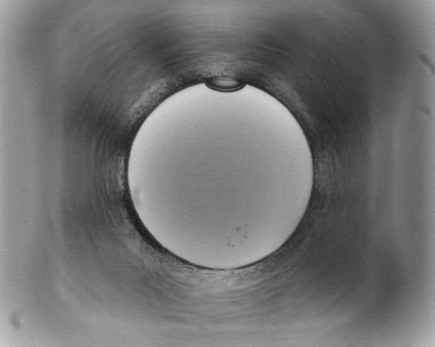 X0000101150023200807251058