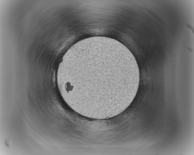 X0000101150024200807251058