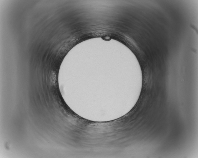 X0000101150025200807251058