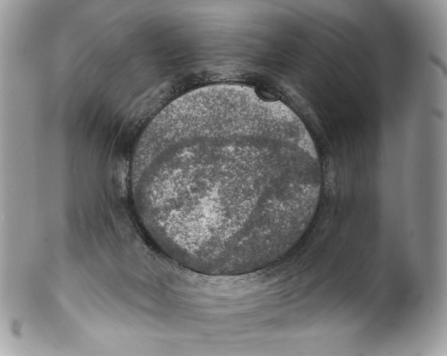 X0000101150026200807251058