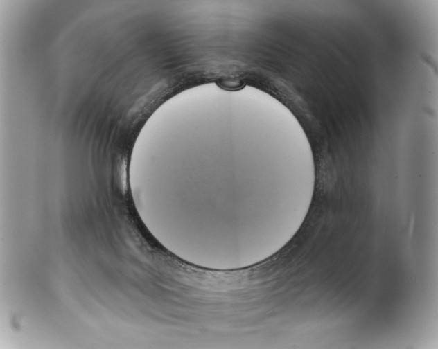 X0000101150027200807251058