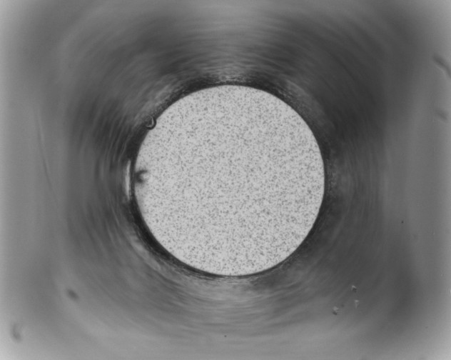 X0000101150028200807251058