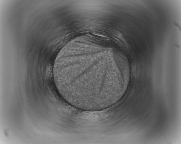 X0000101150029200807251058