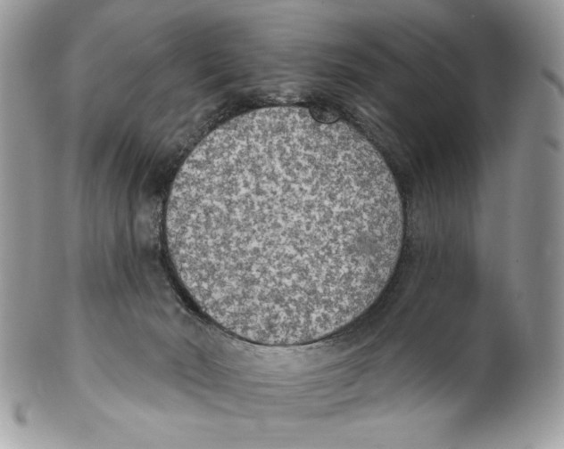 X0000101150030200807251058