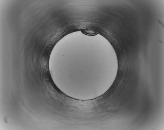 X0000101150031200807251058