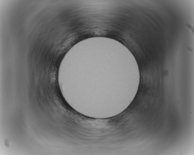 X0000101150032200807251058