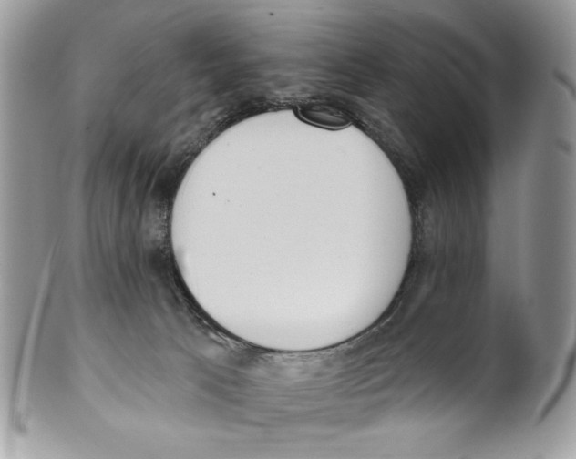 X0000101150033200807251058