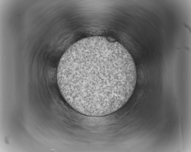 X0000101150034200807251058