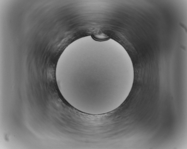 X0000101150035200807251058