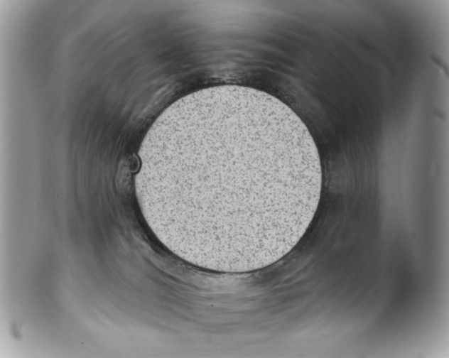 X0000101150036200807251058