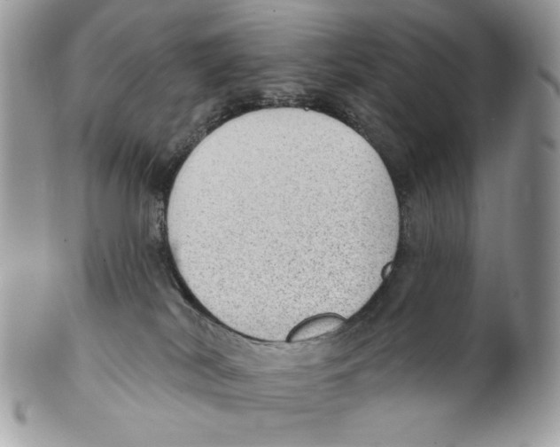 X0000101150038200807251058