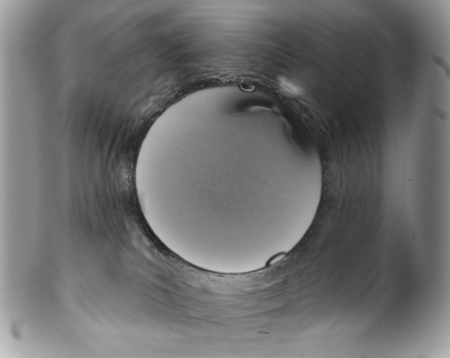 X0000101150039200807251058
