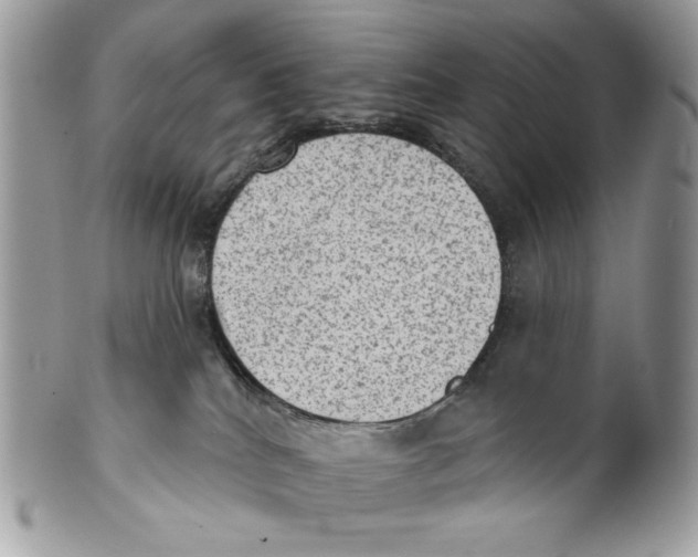 X0000101150040200807251058