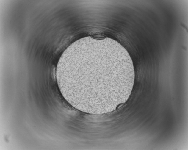 X0000101150041200807251058