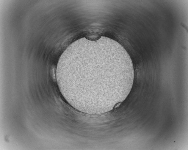 X0000101150042200807251058