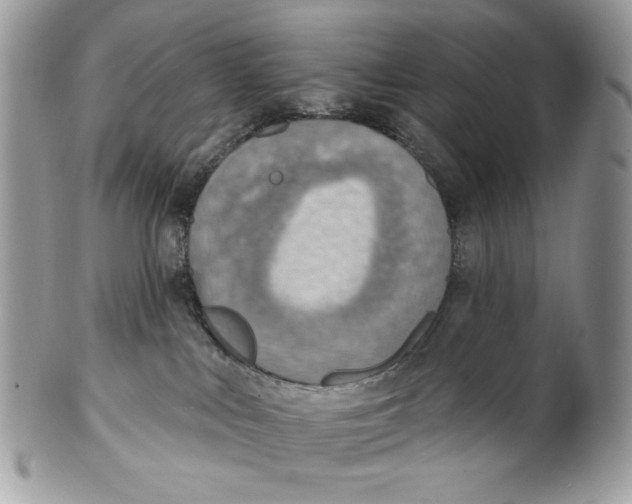 X0000101150043200807251058