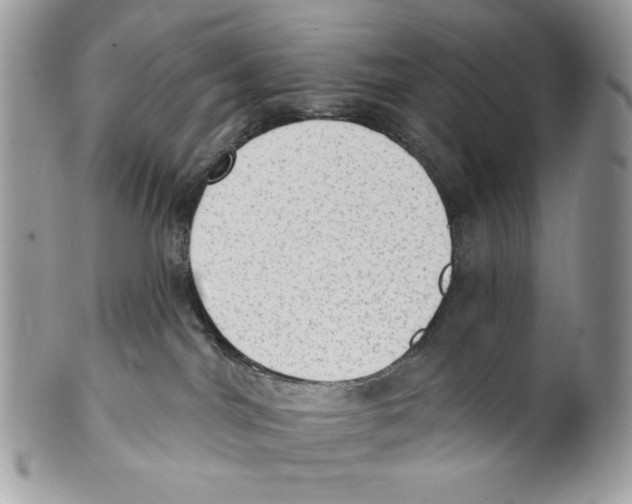 X0000101150044200807251058