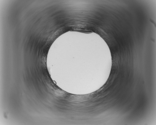 X0000101150045200807251058