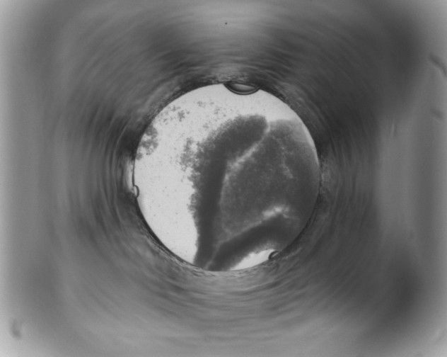 X0000101150046200807251058