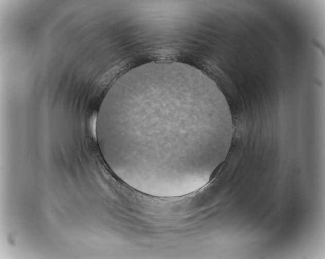 X0000101150047200807251058