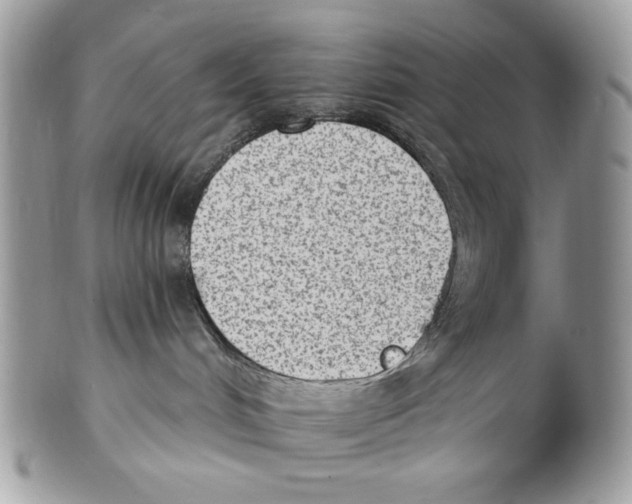 X0000101150048200807251058