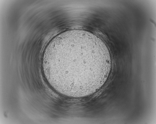 X0000101150049200807251057