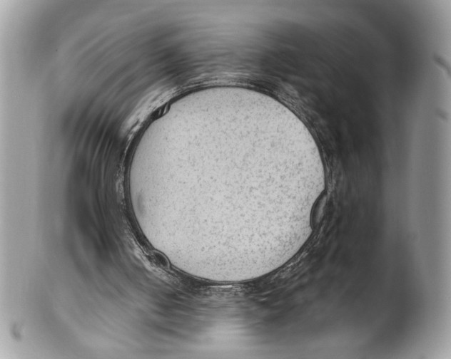 X0000101150050200807251057