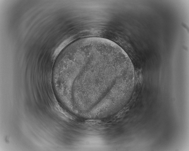 X0000101150051200807251057