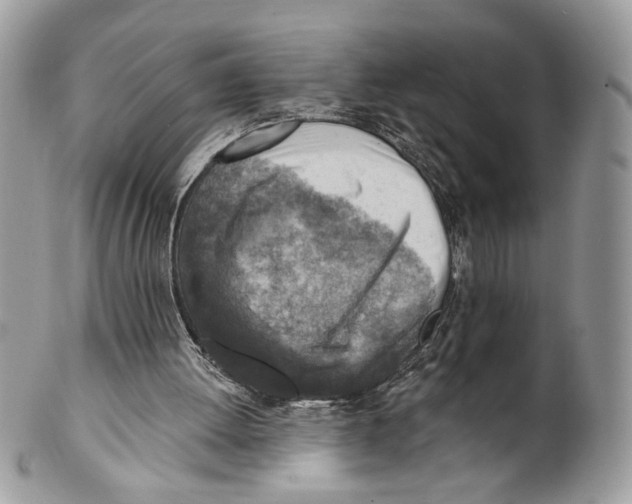 X0000101150052200807251057