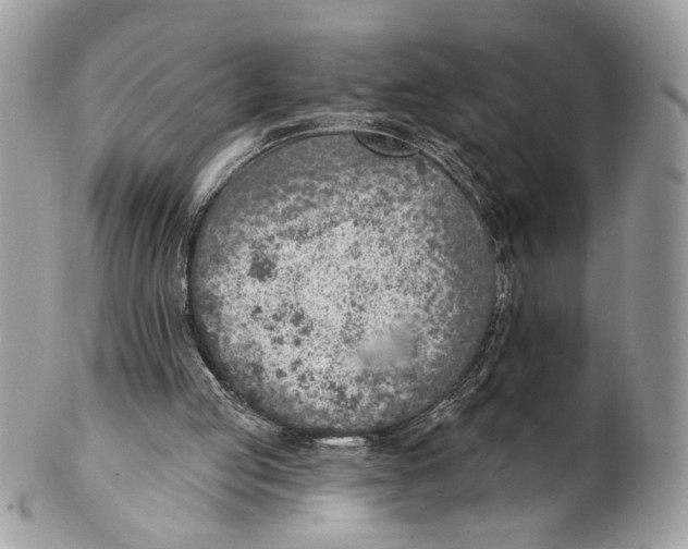 X0000101150053200807251057