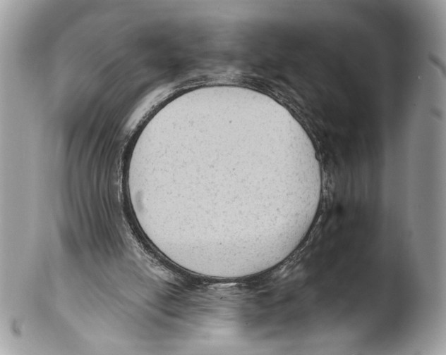 X0000101150054200807251057